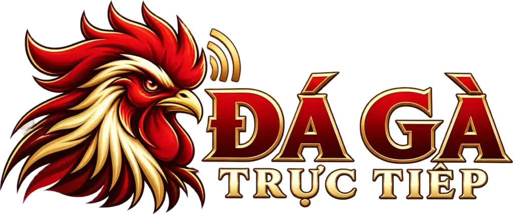 dagadonc1.net