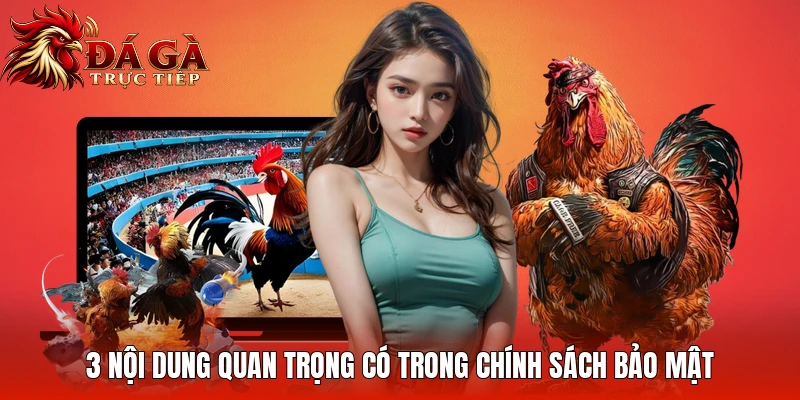 3 nội dung quan trọng có trong chính sách bảo mật