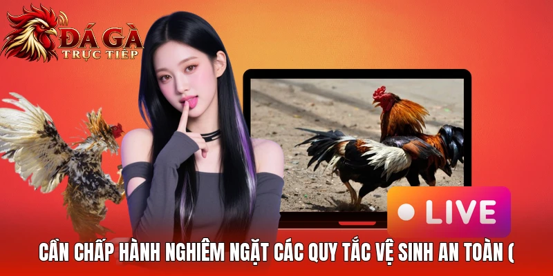 Cần chấp hành nghiêm ngặt các quy tắc vệ sinh an toàn (