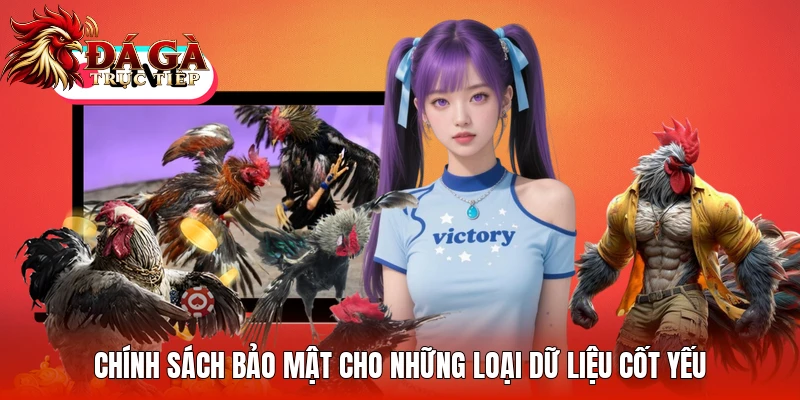 Chính sách bảo mật cho những loại dữ liệu cốt yếu