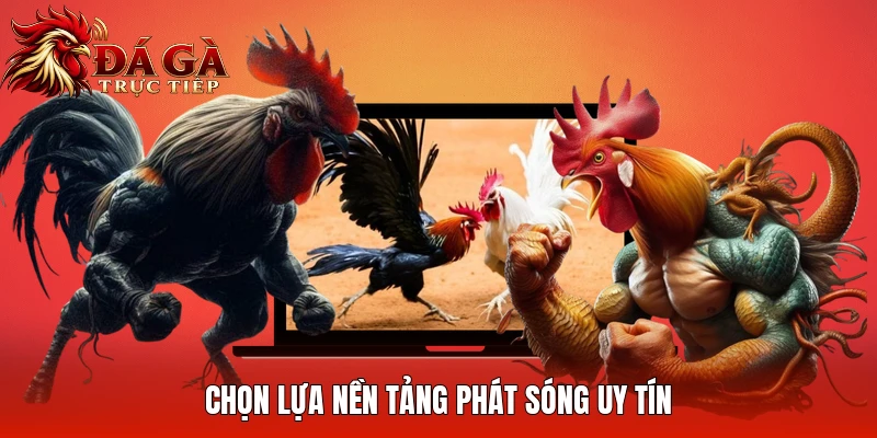 Chọn lựa nền tảng phát sóng uy tín