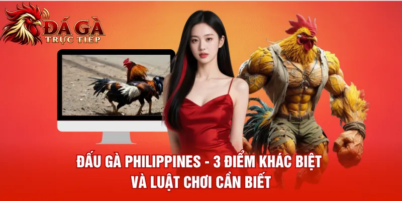 Đấu Gà Philippines 3 Điểm Khác Biệt Và Luật Chơi Cần Biết