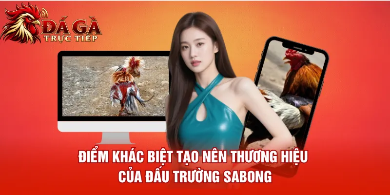Điểm khác biệt tạo nên thương hiệu của đấu trường Sabong