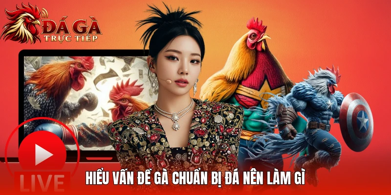 Hiểu vấn đề gà chuẩn bị đá nên làm gì
