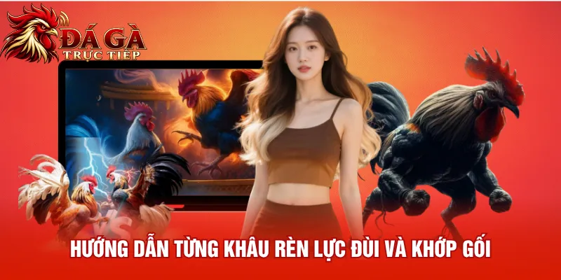 Hướng dẫn từng khâu rèn lực đùi và khớp gối
