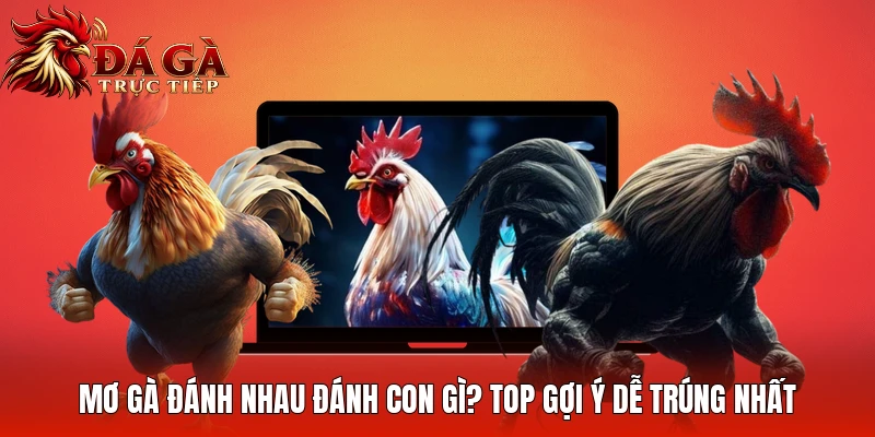 Mơ Gà Đánh Nhau Đánh Con Gì? Top Gợi Ý Dễ Trúng Nhất