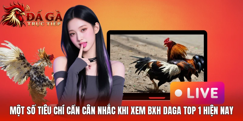 Một số tiêu chí cần cân nhắc khi xem BXH Daga Top 1 hiện nay