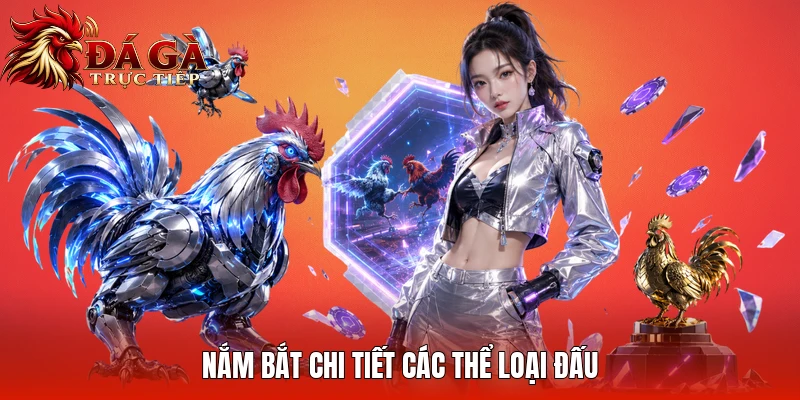 Nắm bắt chi tiết các thể loại đấu
