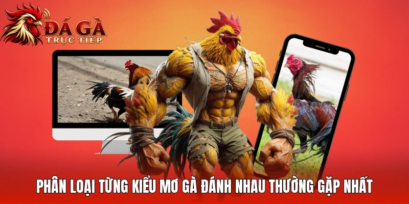 Phân loại từng kiểu mơ gà đánh nhau thường gặp nhất