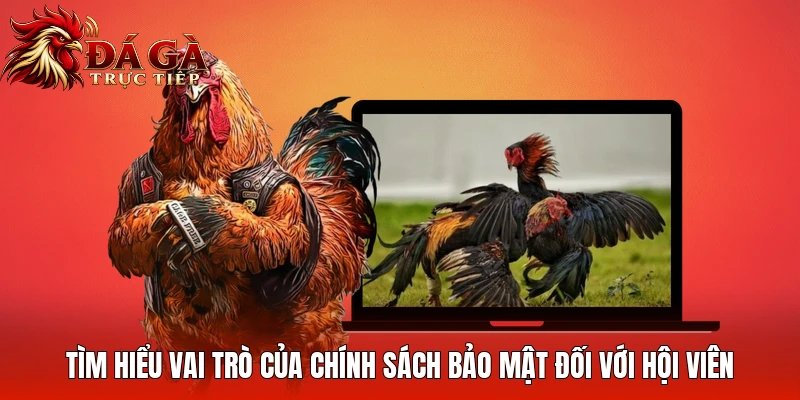 Tìm hiểu vai trò của chính sách bảo mật đối với hội viên