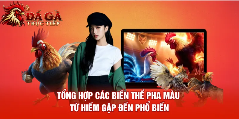 Tổng hợp các biến thể pha màu từ hiếm gặp đến phổ biến