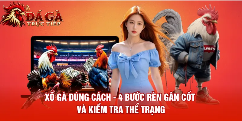 Xổ Gà Đúng Cách 4 Bước Rèn Gân Cốt Và Kiểm Tra Thể Trạng